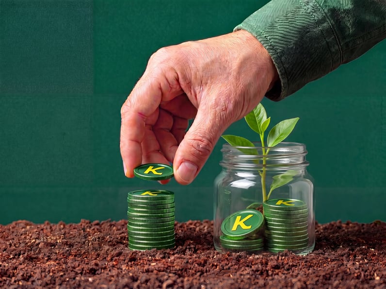 investir économies