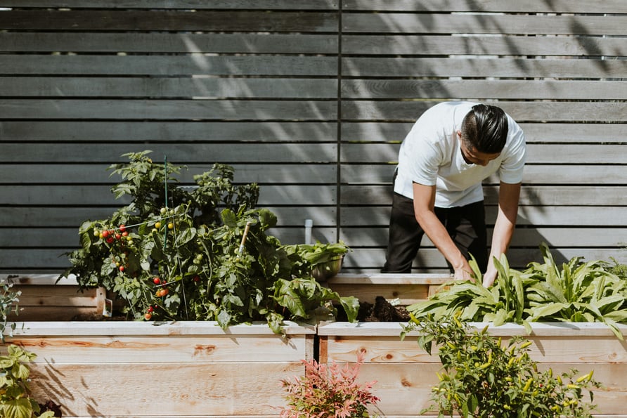 homme jardinage